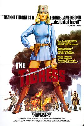 外贸seo推广哪里好做